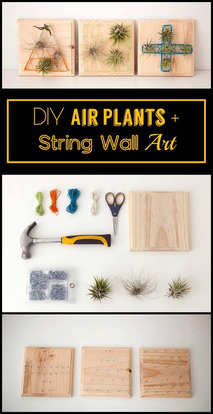DIY Air Plants + String Wall Art